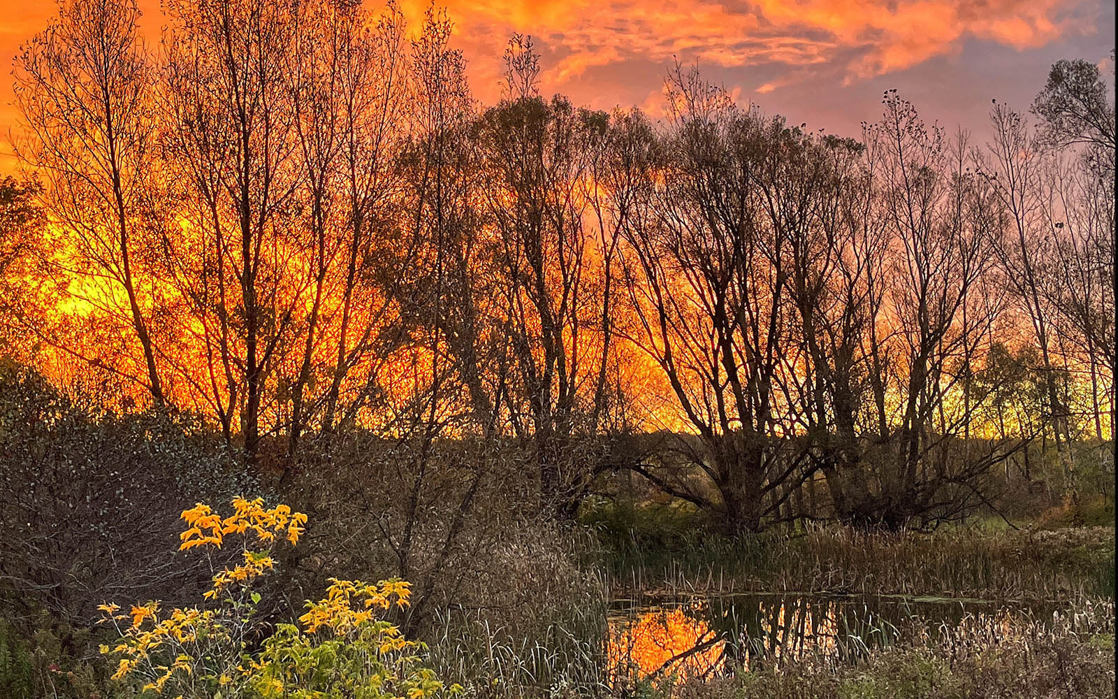 Beeman Creek